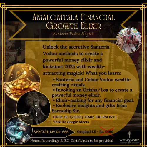 Amalomtala Financial Growth Elixir